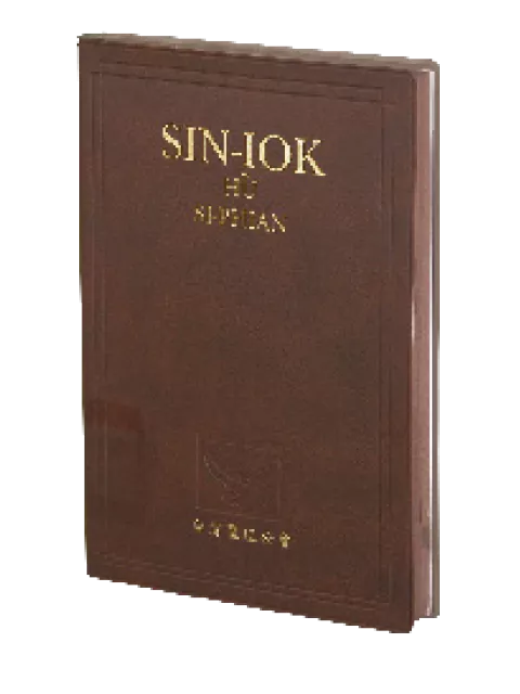 【台語聖經】AR382 台語羅馬字 新約附詩篇 大字版膠面 / 大字台語新約聖經