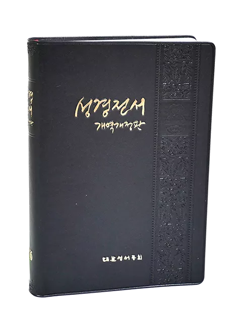 【韓文聖經】NKR72THU New Korean Revised Version 中型膠面版 19x13cm
