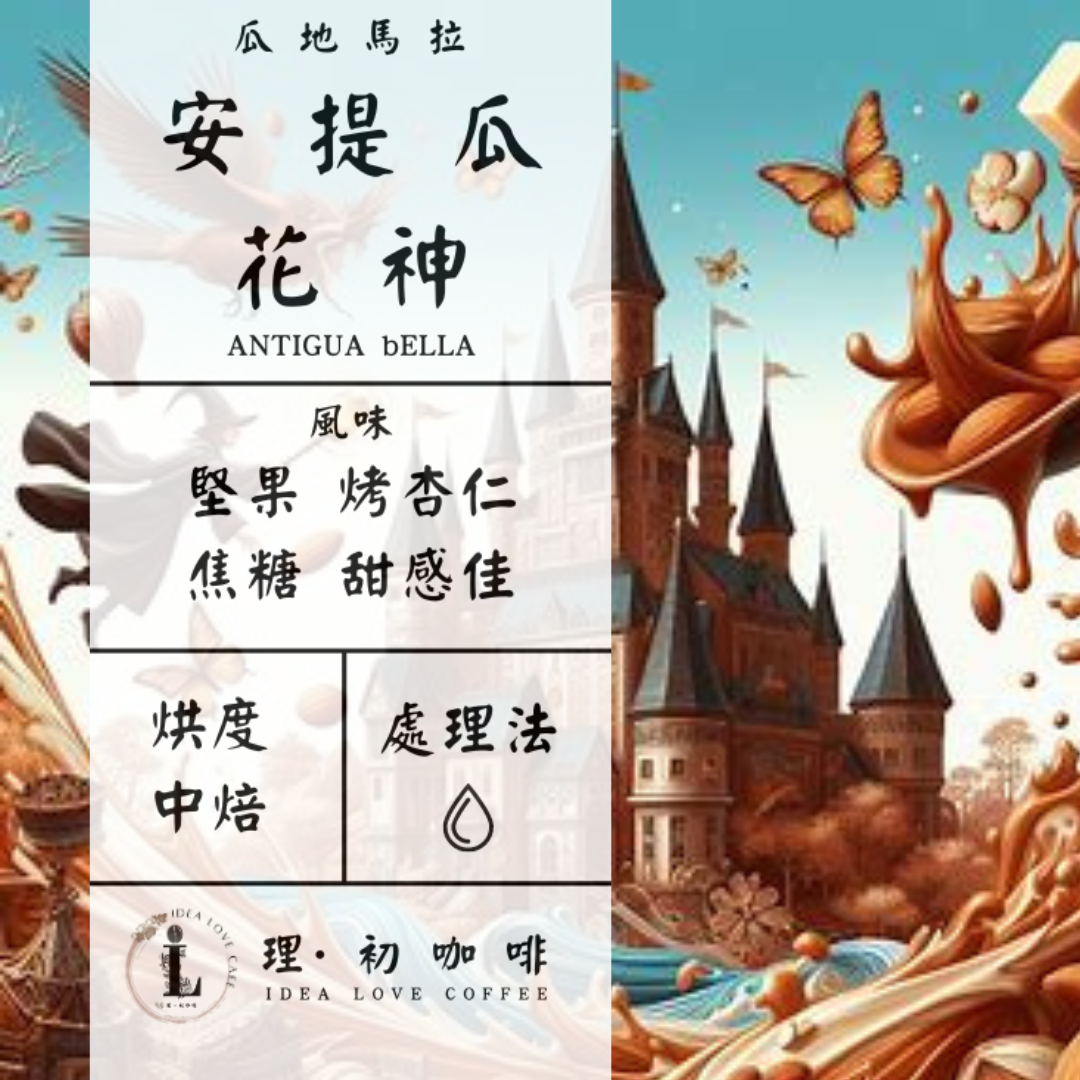 【中南美洲精品咖啡豆】瓜地馬拉 花神  水洗