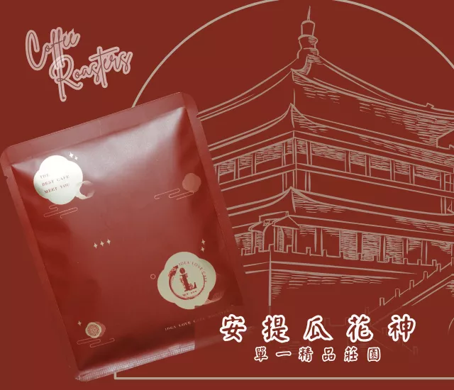 【中南美洲精品濾掛包】瓜地馬拉 花神 水洗