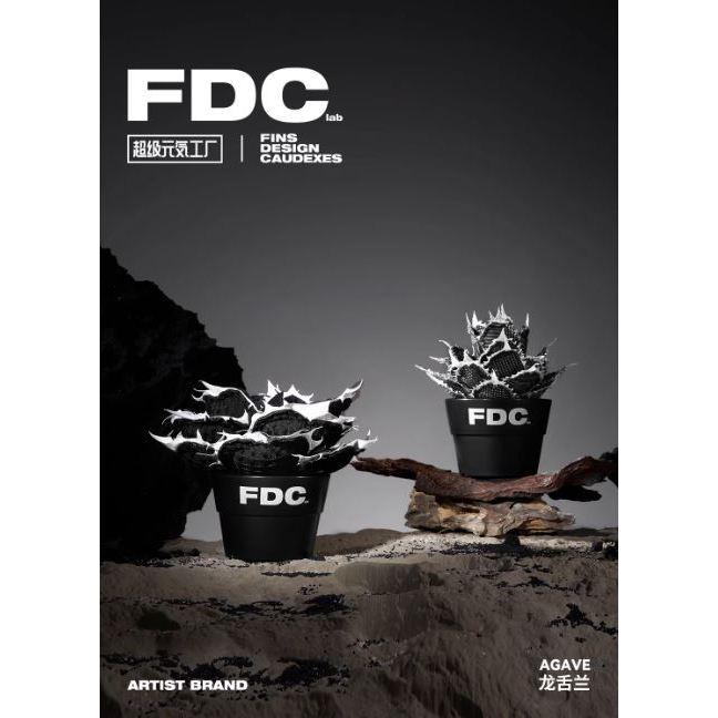 龍舌蘭布偶 FDC 潮流 擺件 潮玩 擺飾 藝術品 手工 裝飾品 塊根植物 潮流植物 仁王冠 Agave