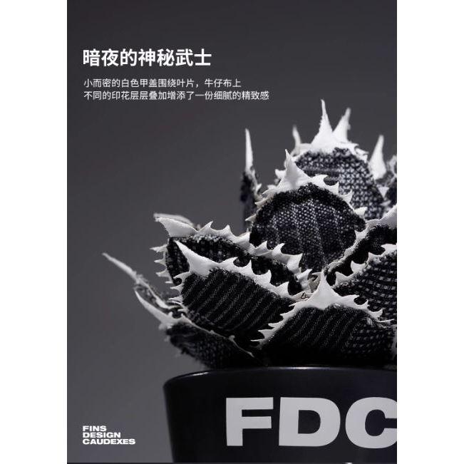 龍舌蘭布偶 FDC 潮流 擺件 潮玩 擺飾 藝術品 手工 裝飾品 塊根植物 潮流植物 仁王冠 Agave