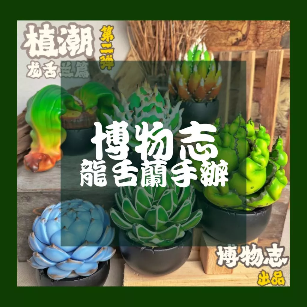 《4AM寅選》博物志 龍舌蘭手辦 潮流 擺件 潮玩 擺飾 藝術品 手工 裝飾品 塊根植物 潮流植物 agave