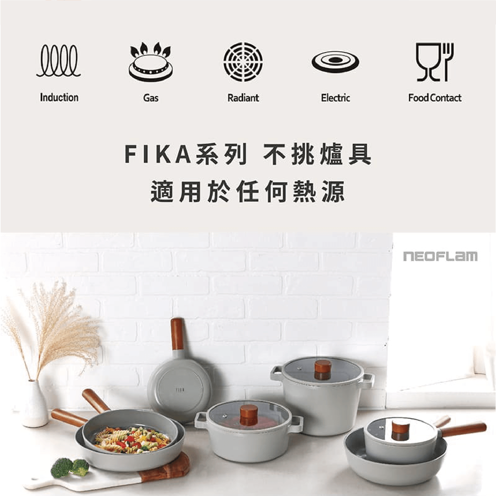 FIKA 2.0鑄造雙耳湯鍋22CM-暗夜灰(全覆底)