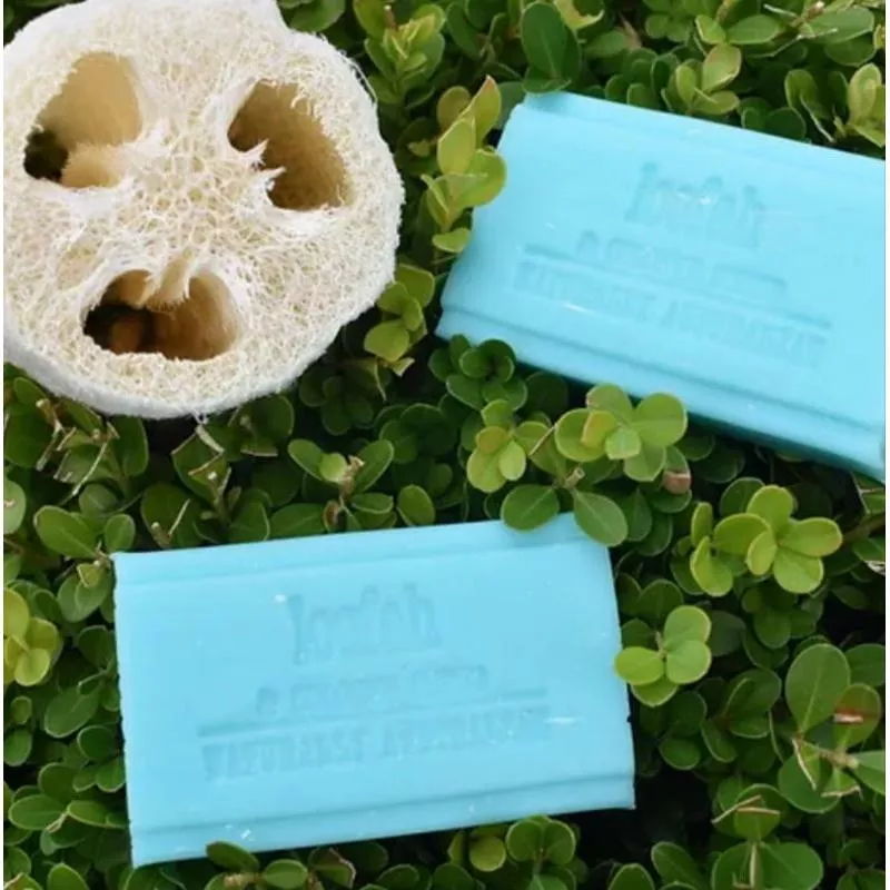 澳洲Clover Fields植萃絲瓜去角質皂100克🍀溫和去角質🥰