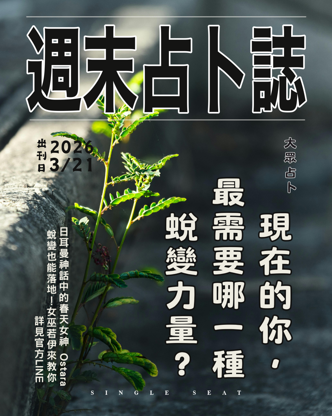 出刊日 : 20260321