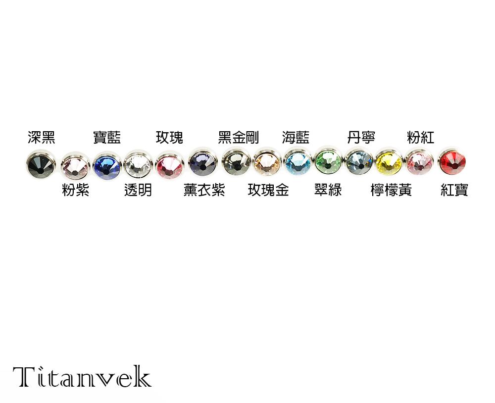 Titanvek鈦合金耳環  施華洛世奇水鑽