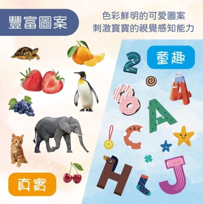V008 小牛津 聰明寶寶認知圖卡 (中英雙面)