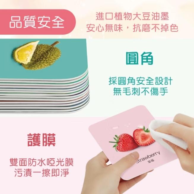 V008 小牛津 聰明寶寶認知圖卡 (中英雙面)