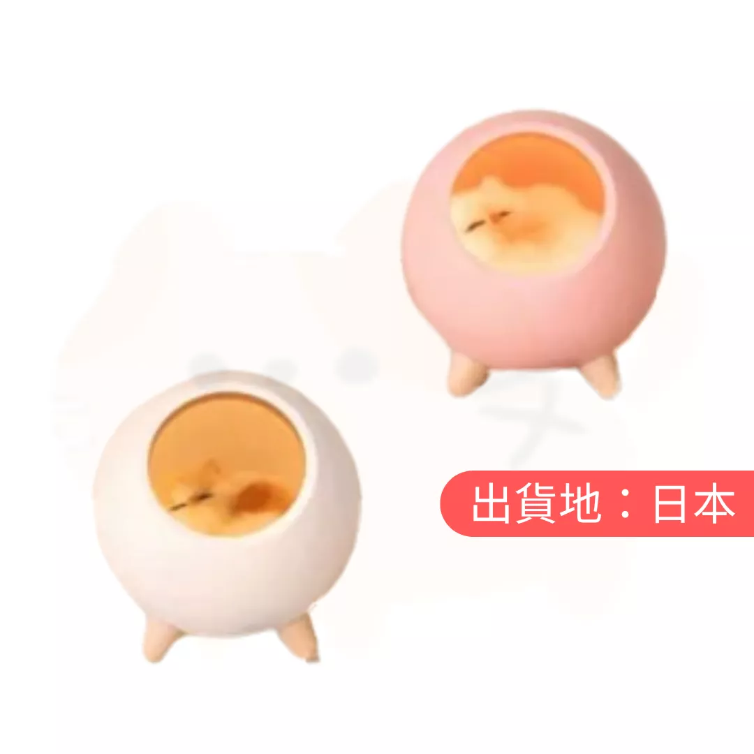 小貓。安眠燈