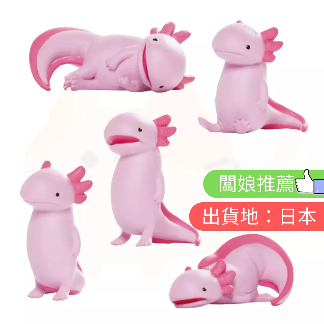 虛無。墨西哥粉紅蠑螈一套 5 入