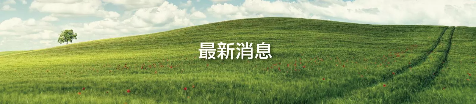 醋勁大發 最新消息