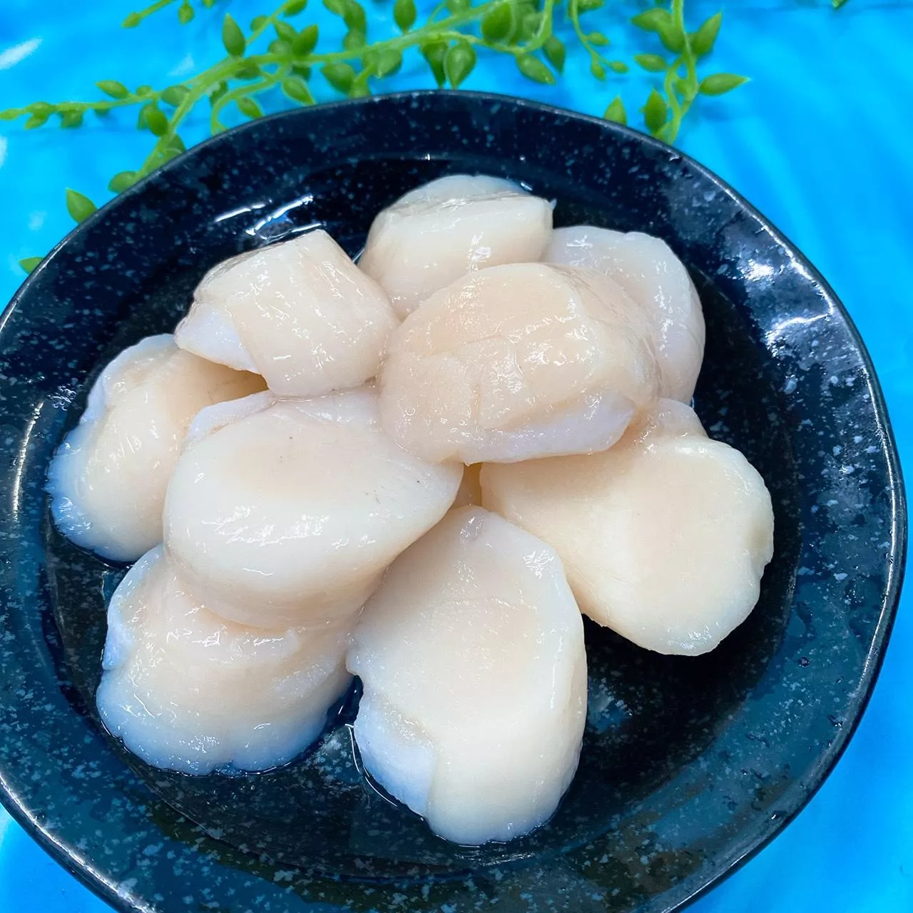 日本北海道直送【生食級干貝】安心吃