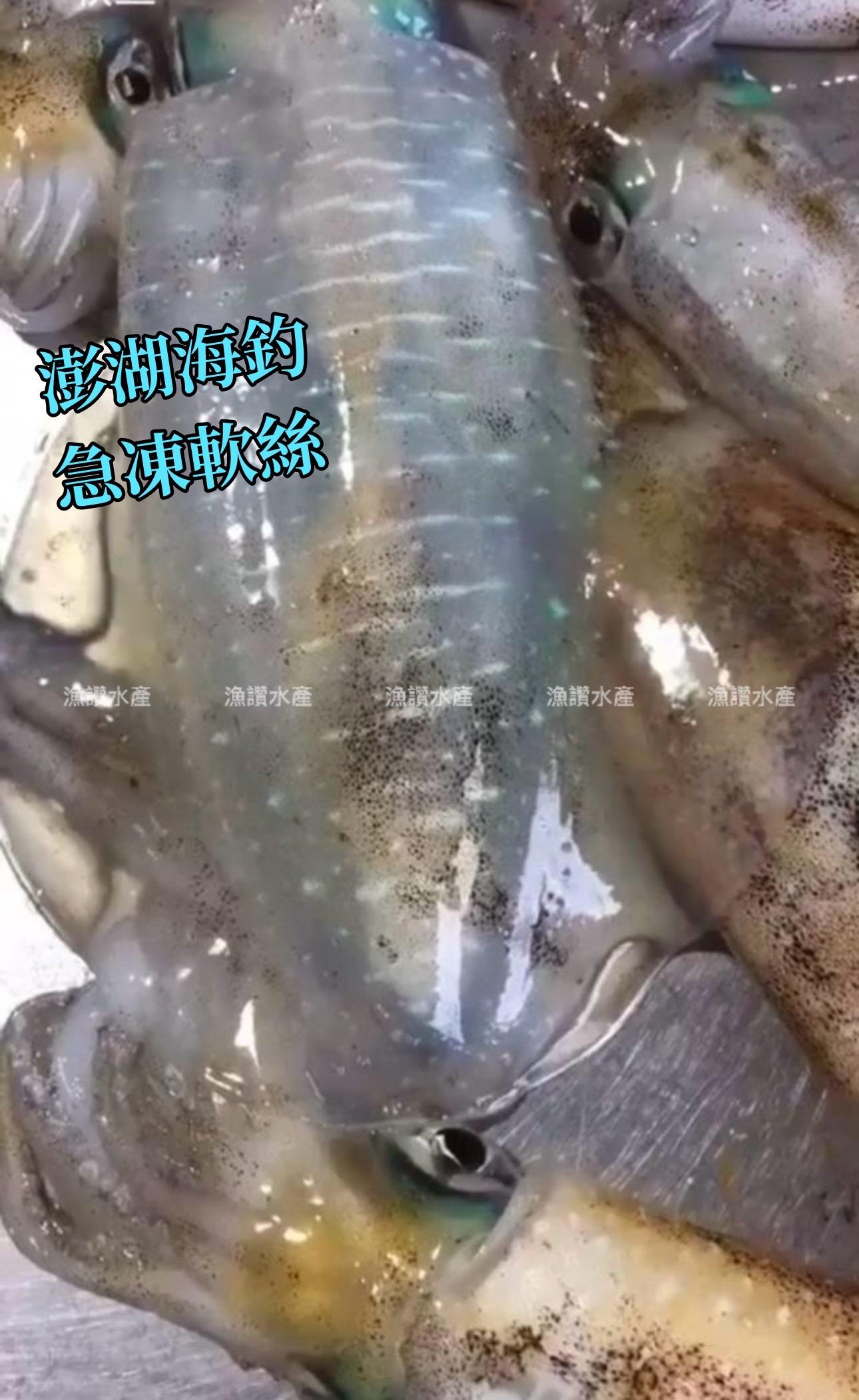 澎湖 手釣活凍軟絲(鮮甜脆口)