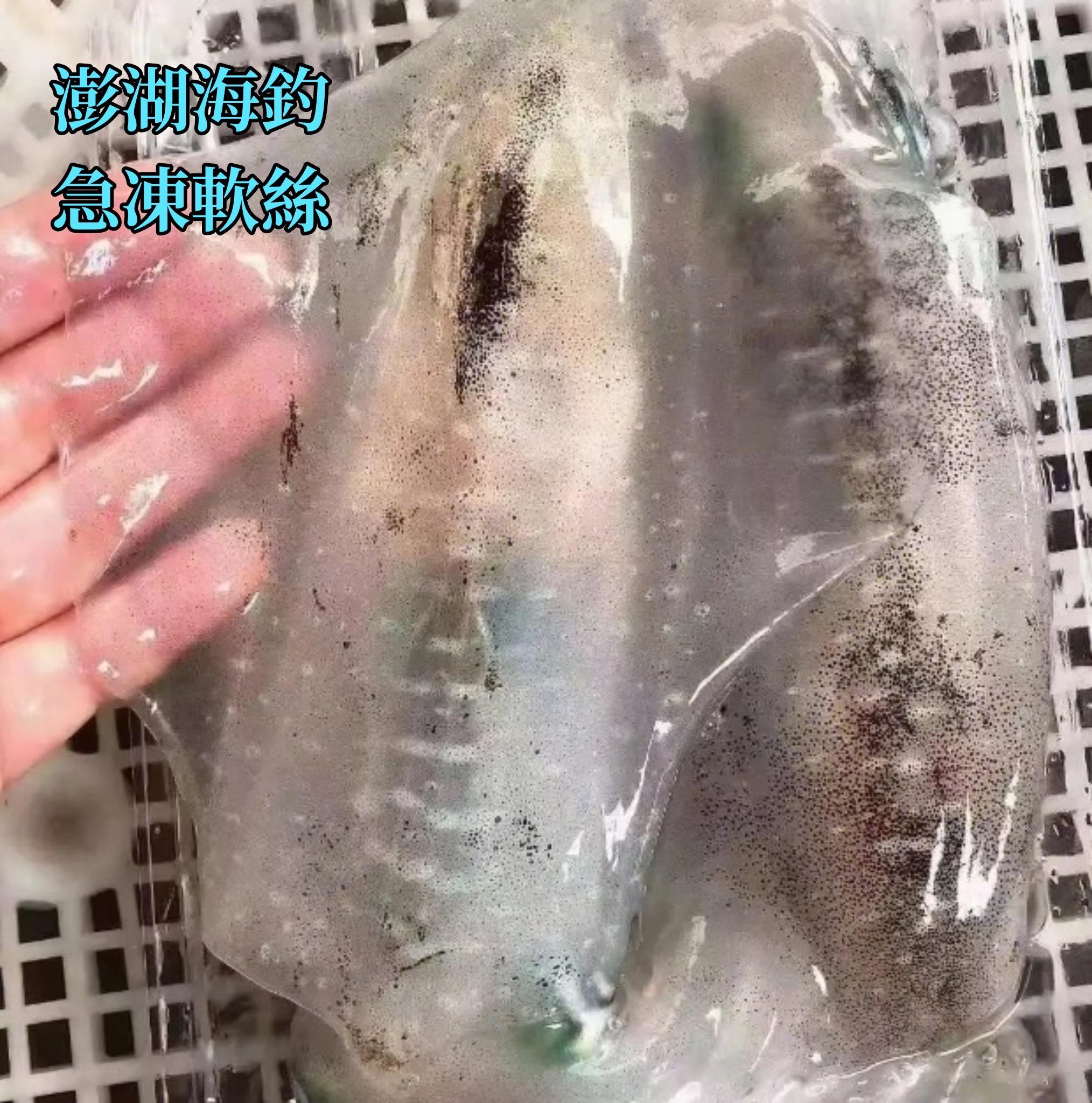 澎湖 手釣活凍軟絲(鮮甜脆口)