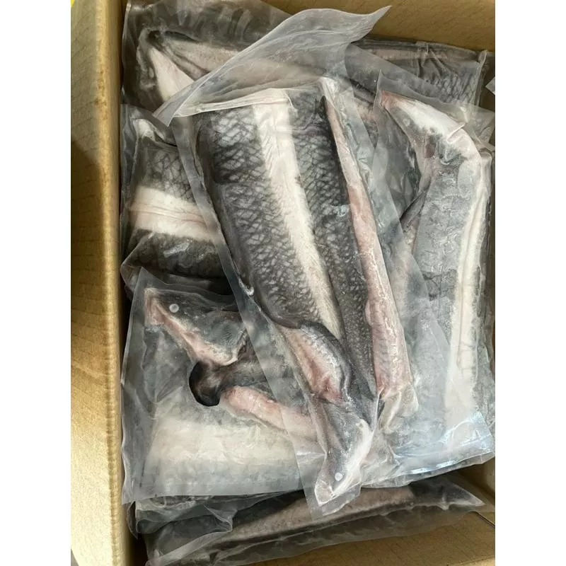 外銷級！生鰻魚片