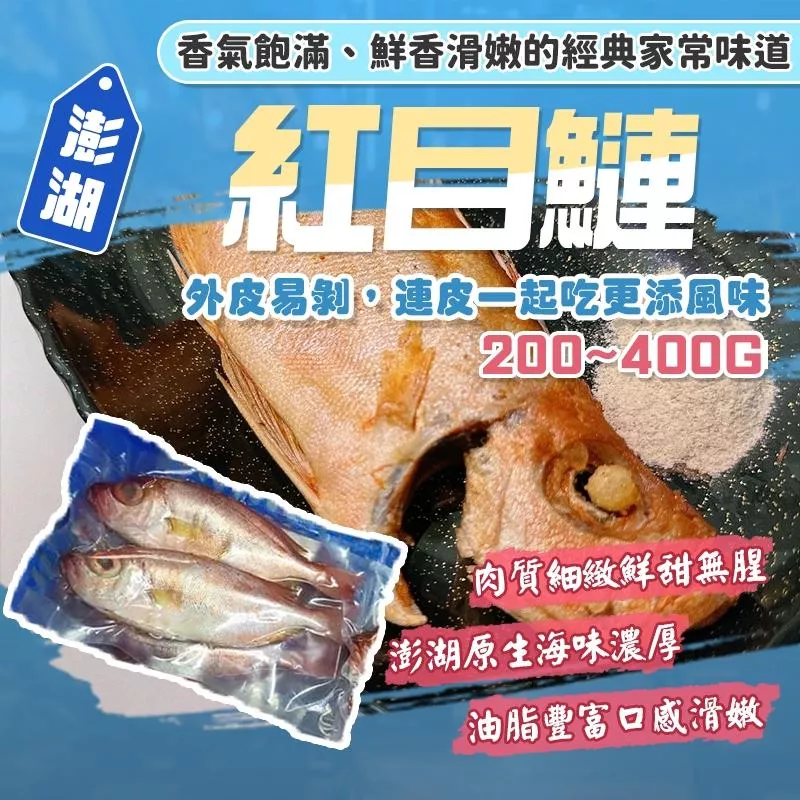 澎湖野生紅目鰱｜三去處理ｘ清蒸料理首選