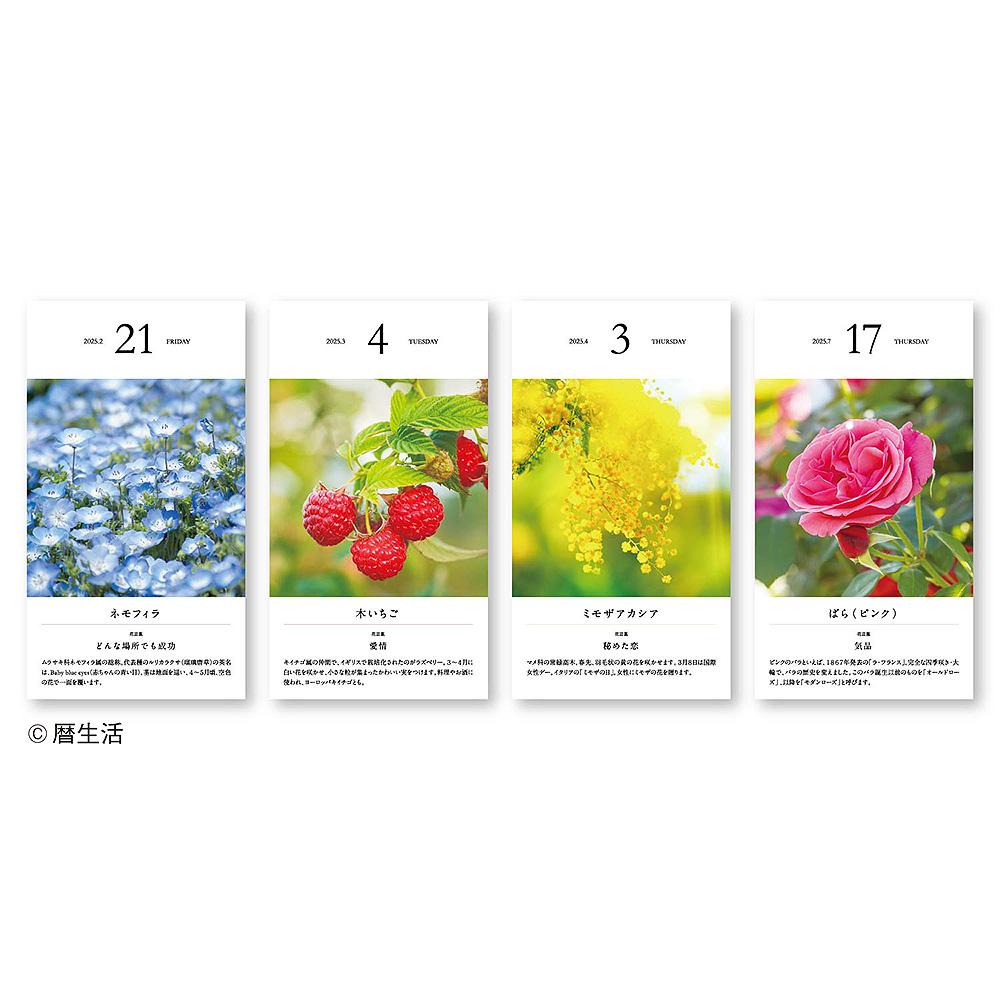曆生活 2025年 Calendar 桌立式寫真日曆 - 365日誕生花 ( NK-8829 )