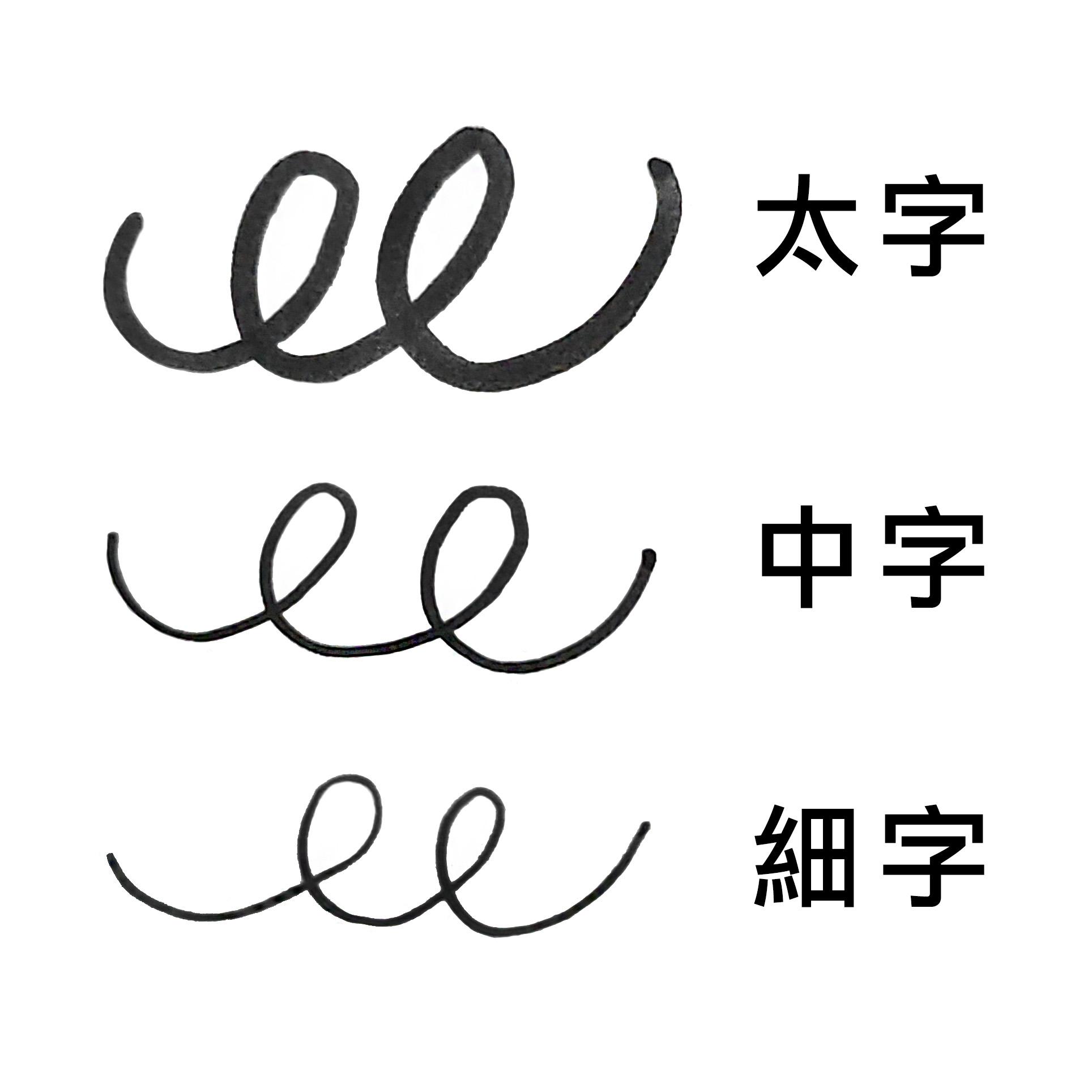 百樂PILOT 水性黑色簽字筆 - 細、中、太字，共三款 ( SEG-10M )