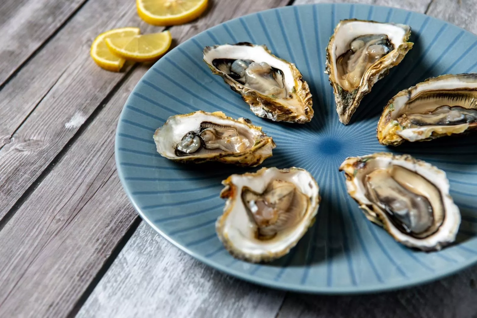 《澎湖名產》【海鳥愛吃】蚵肉