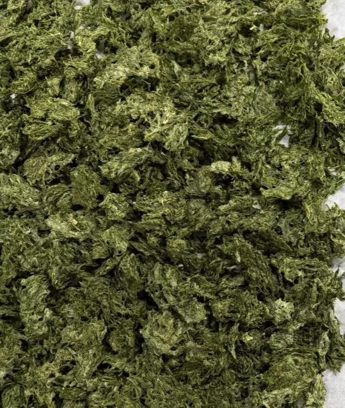 《澎湖名產》【海鳥愛吃】澎湖海菜(乾燥)