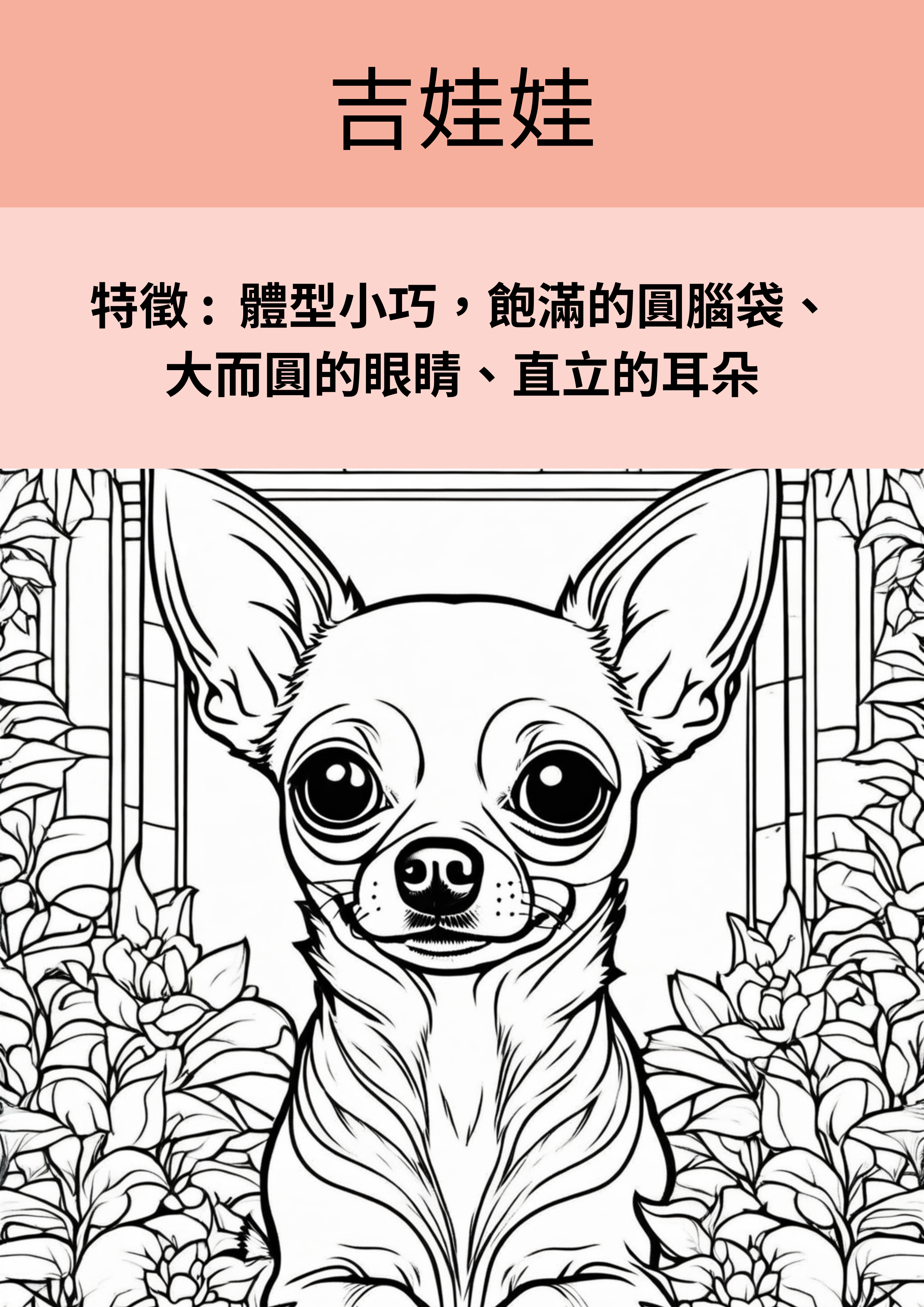 狗狗奇妙著色本：認識15種狗狗的名字和特徵