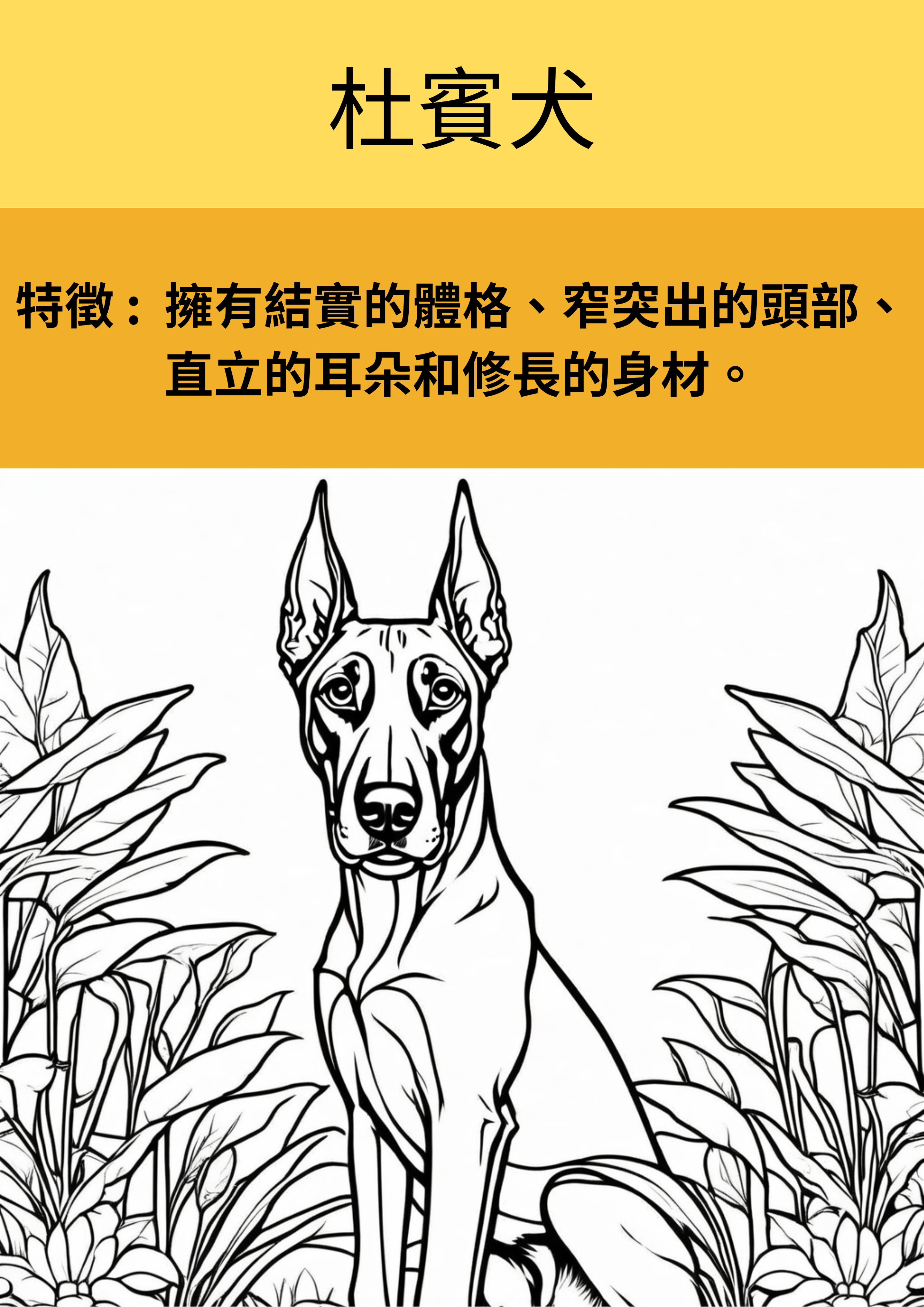 狗狗奇妙著色本：認識15種狗狗的名字和特徵