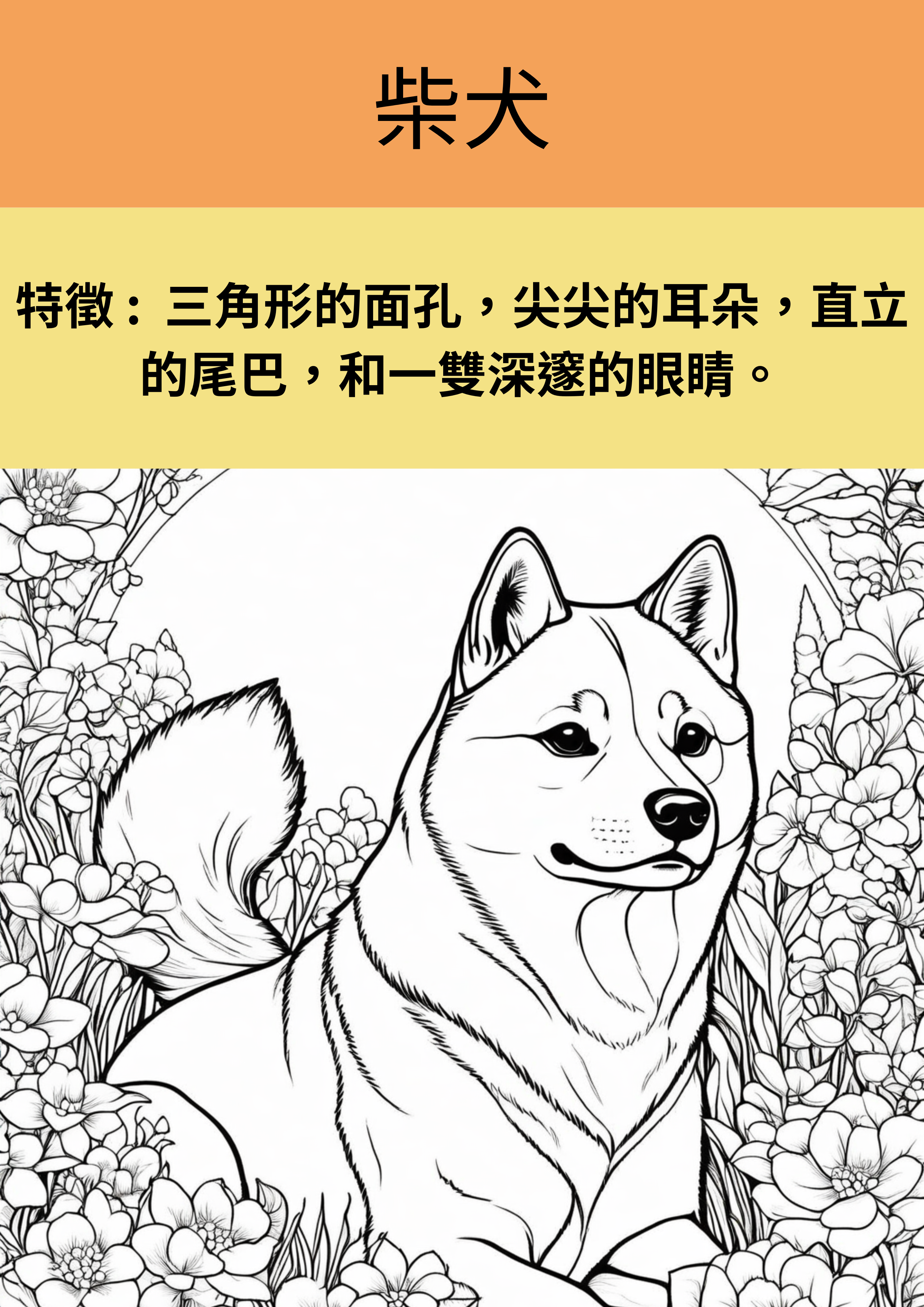 狗狗奇妙著色本：認識15種狗狗的名字和特徵