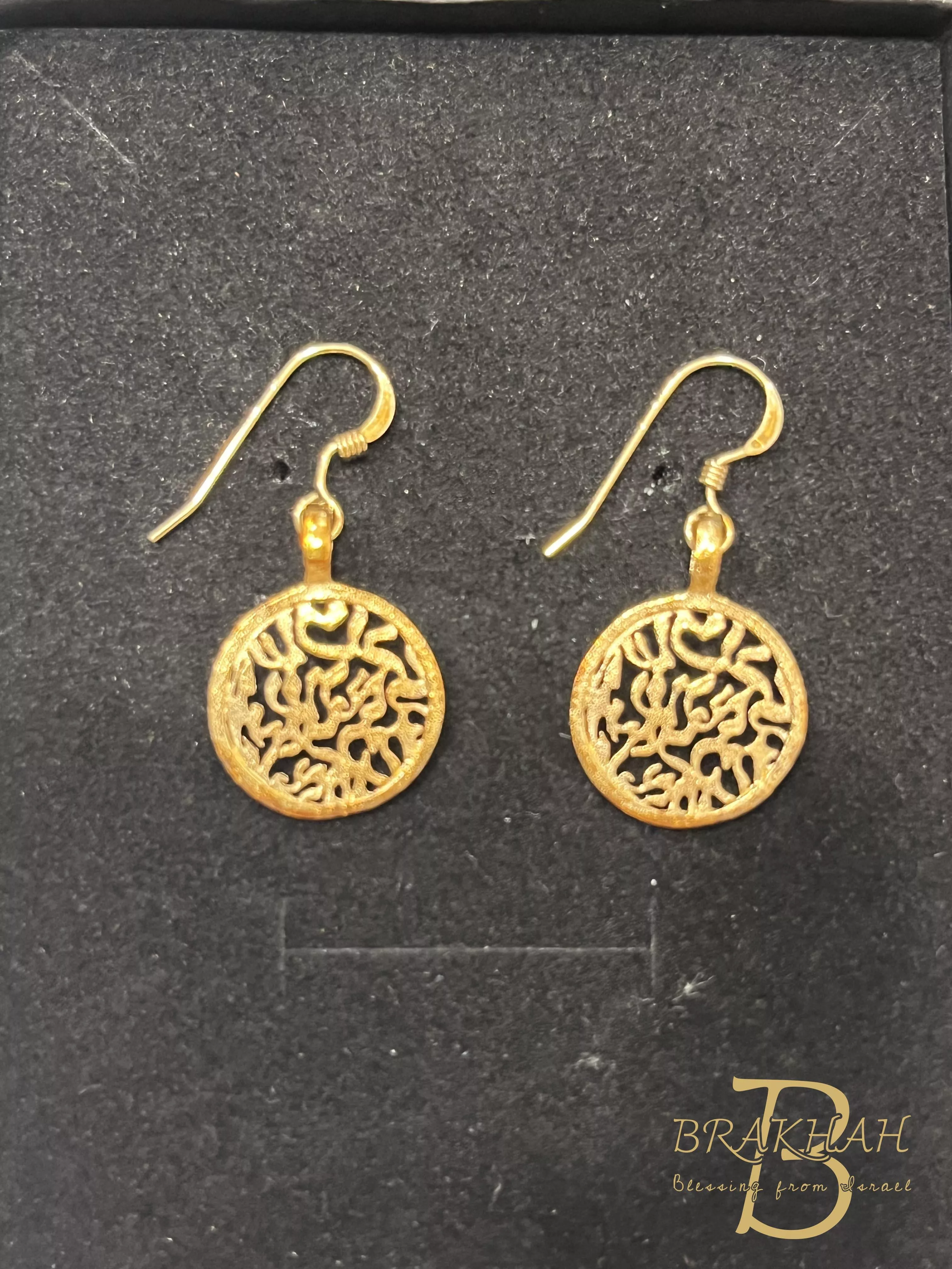 Shema Israel 鍍金圓形耳吊式耳環
