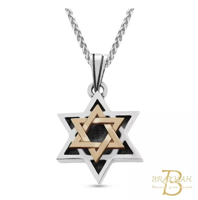 純銀鑲14K金猶太大衛之星項鍊