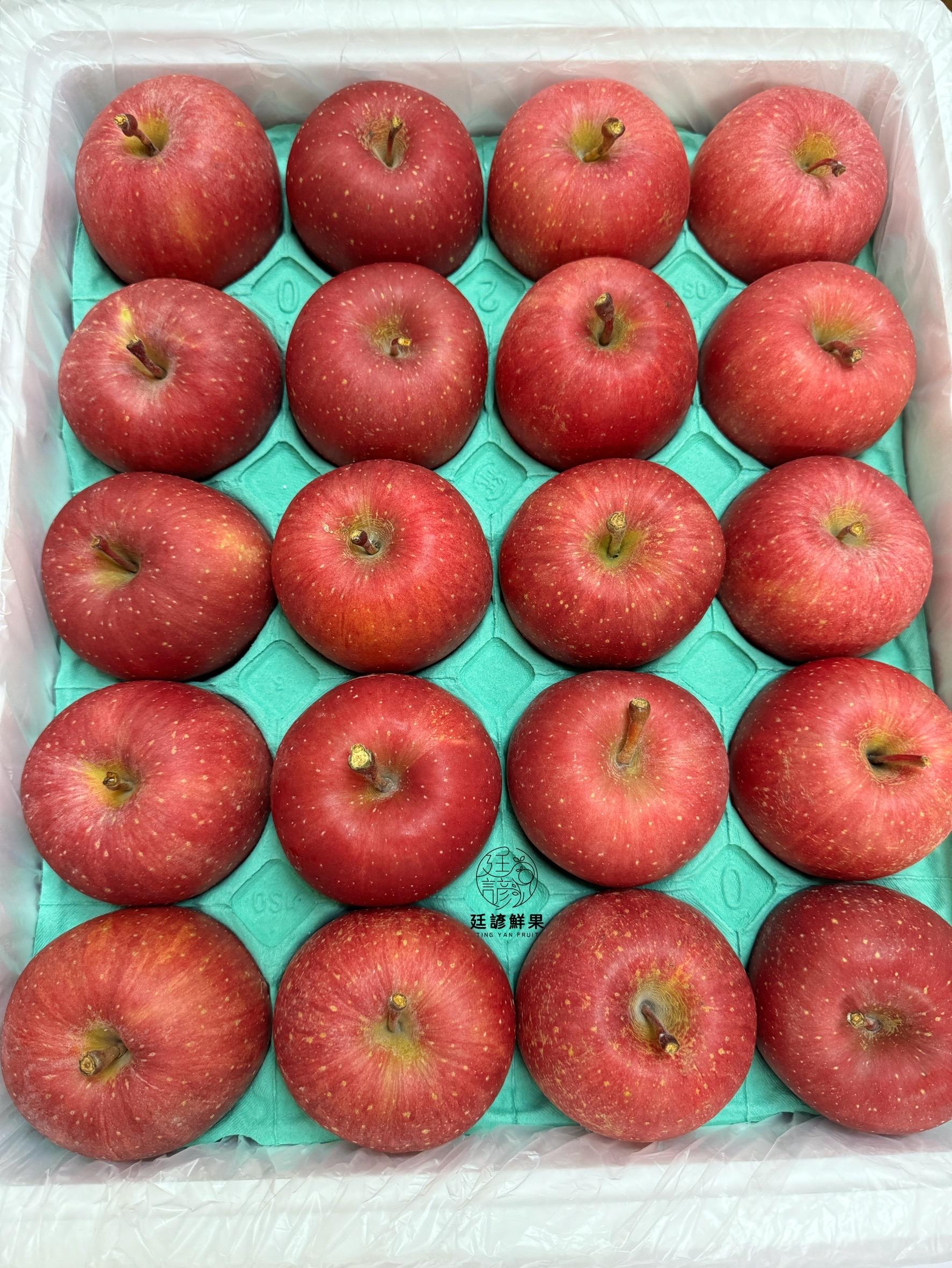 日本青森蜜蘋果-原裝箱
