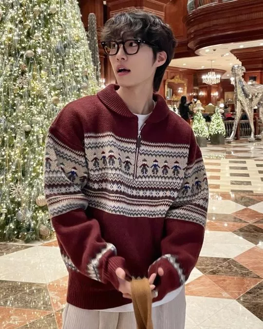 聖誕氛圍 挪威民族圖騰拉鍊套衫