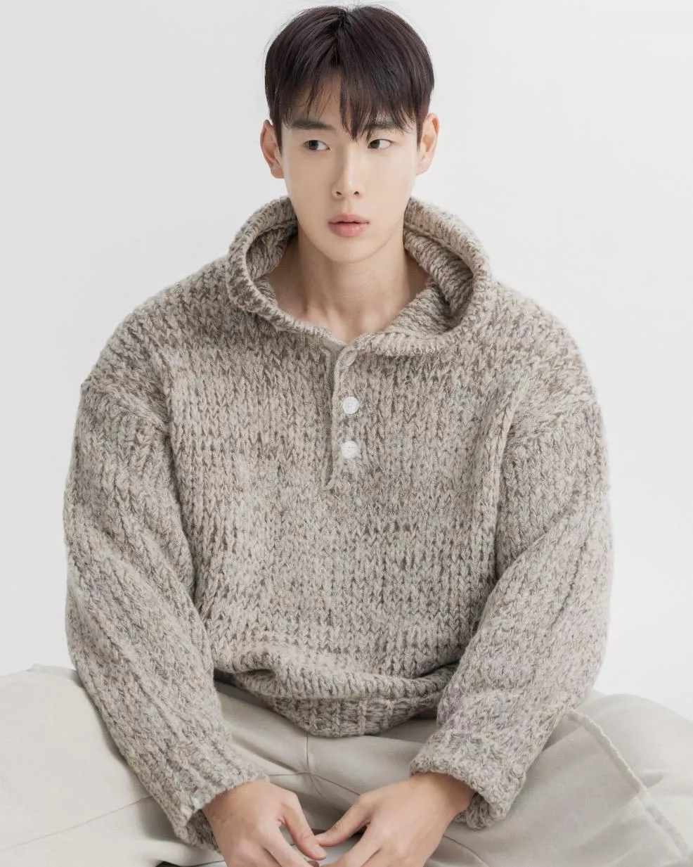 蘇維埃羊駝絨亨利領連帽衫