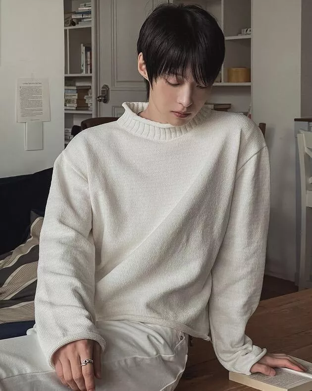 絨感雪尼爾紗織 寬短版半高領針織衫