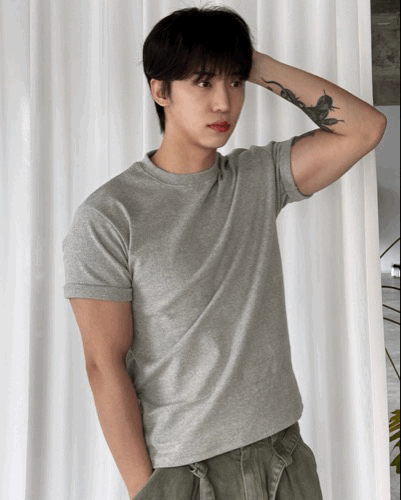 春冬季 內搭神器 刷毛保暖素面短袖T恤