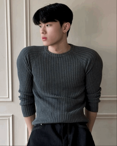 顯壯肌肉款 立體坑條理 羅紋針織衫