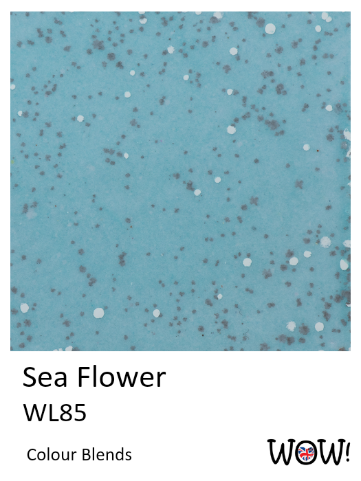 海上花 Sea Flower