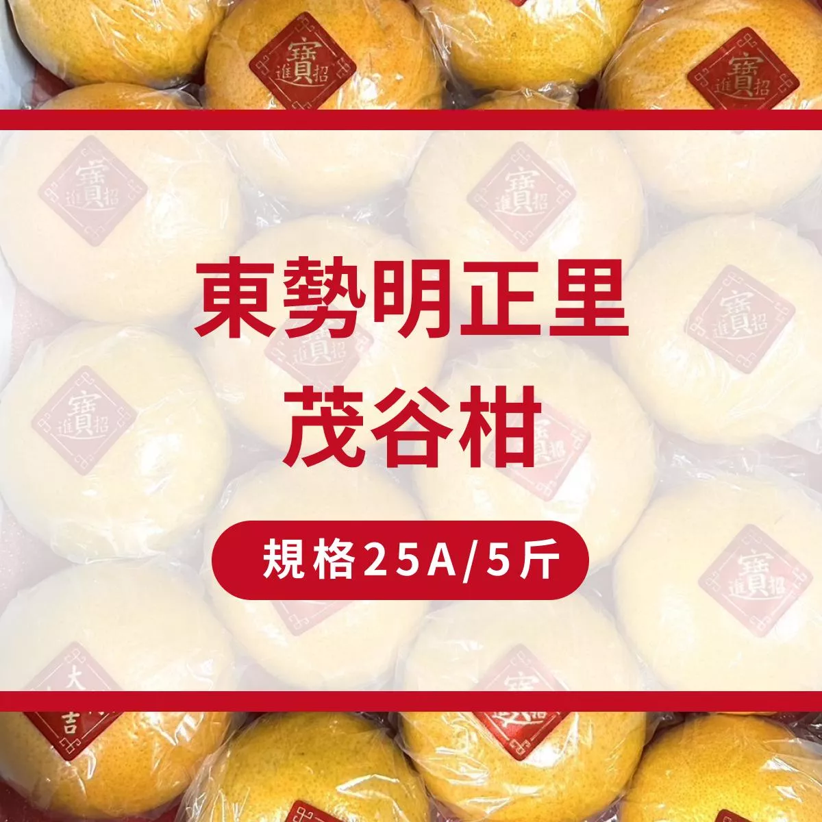 東勢明正里茂谷柑 - 五斤禮盒