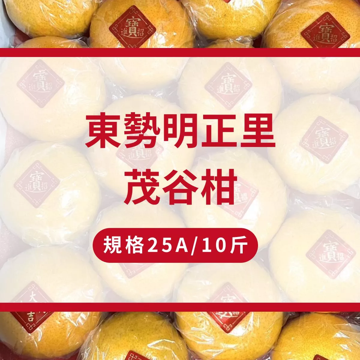 東勢明正里茂谷柑 - 十斤禮盒