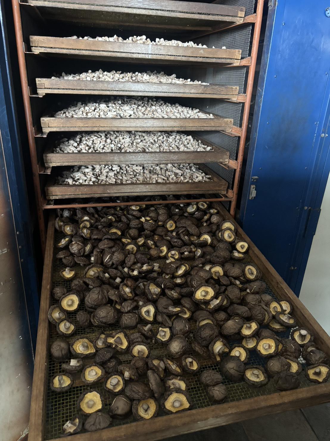 新社乾香菇-冬菇(大中規格300克)-3包含運