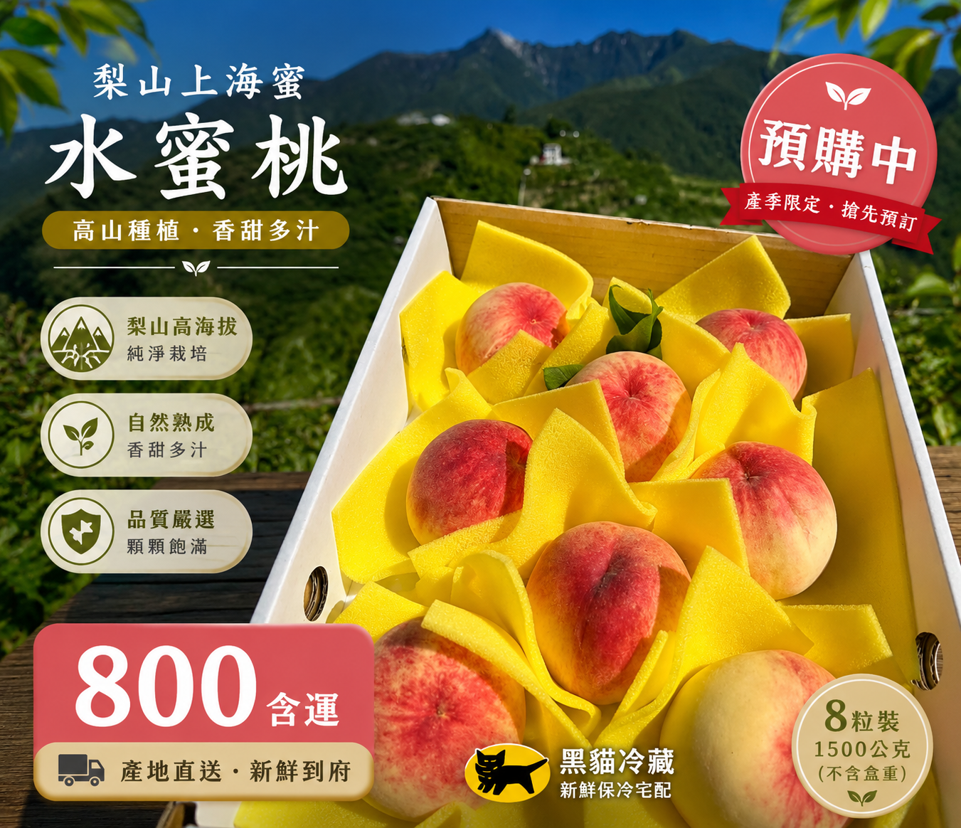 梨山上海蜜水蜜桃（8粒1盒）