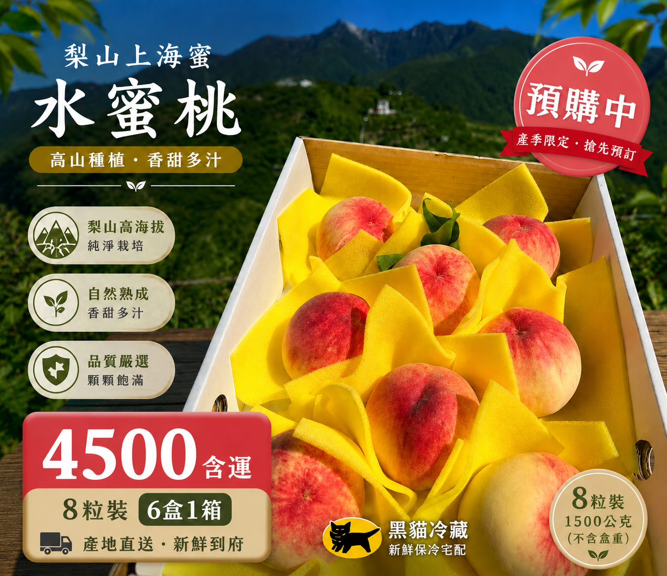 梨山上海蜜水蜜桃（8粒6盒）