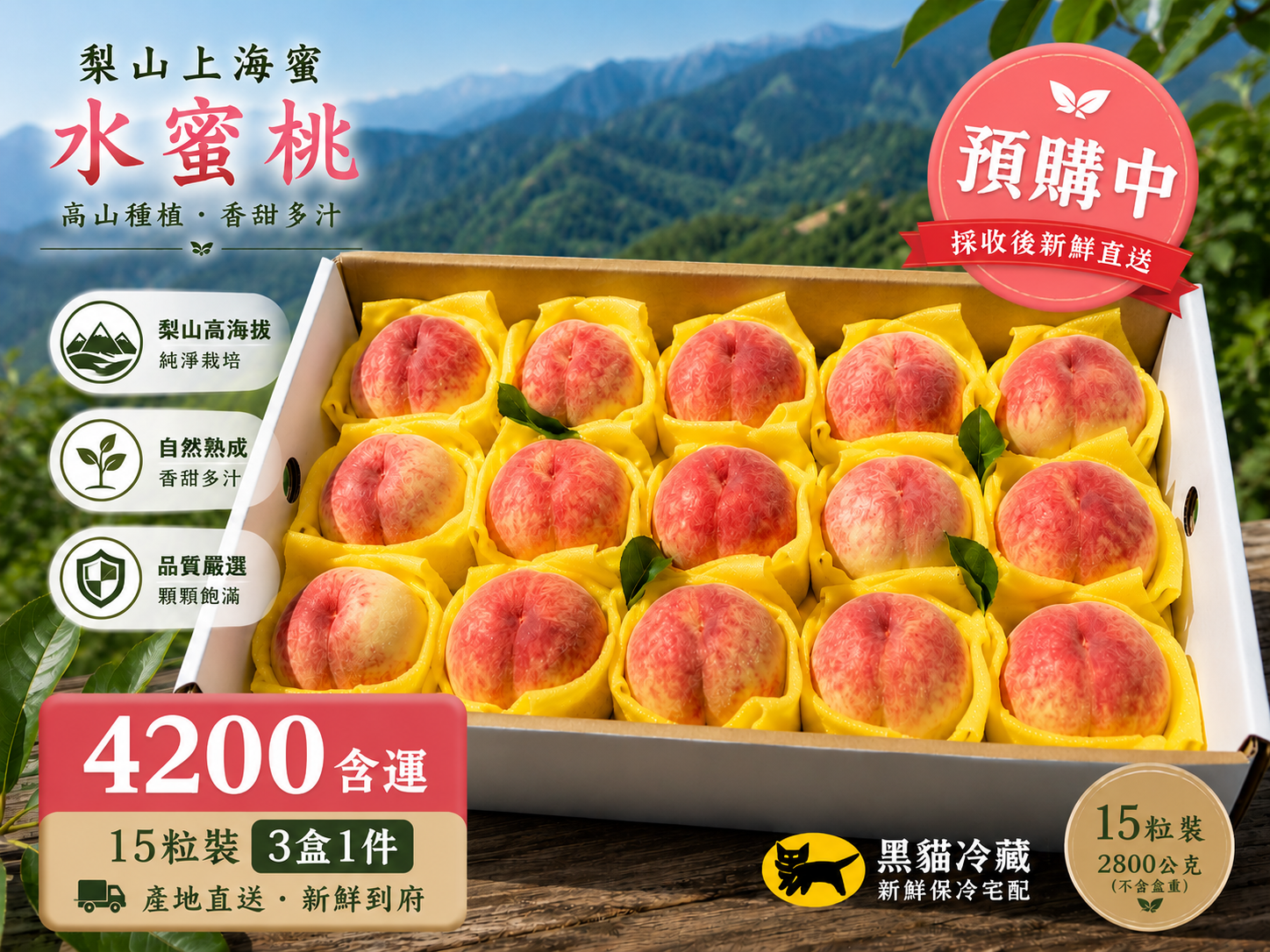 梨山上海蜜水蜜桃（15粒3盒）
