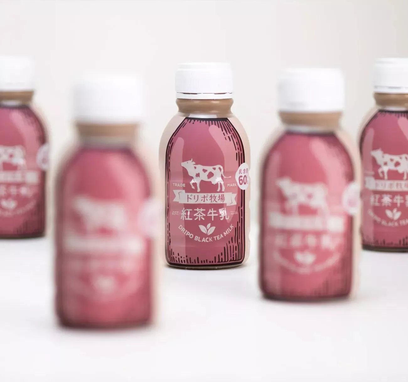 DRIPOドリポ牧場紅茶牛乳290ml 保久調味乳(6瓶組)