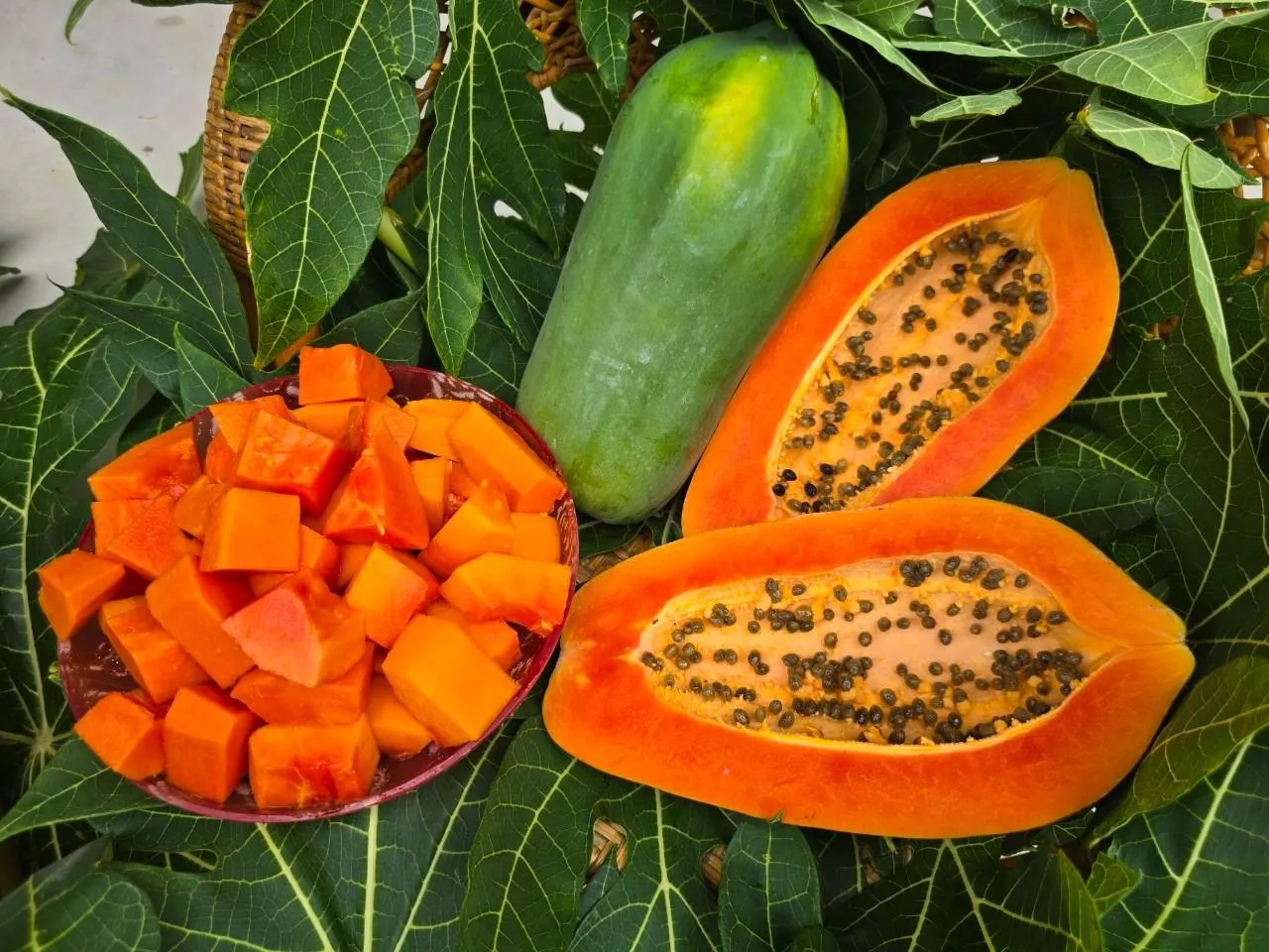 有機紅妃木瓜禮盒