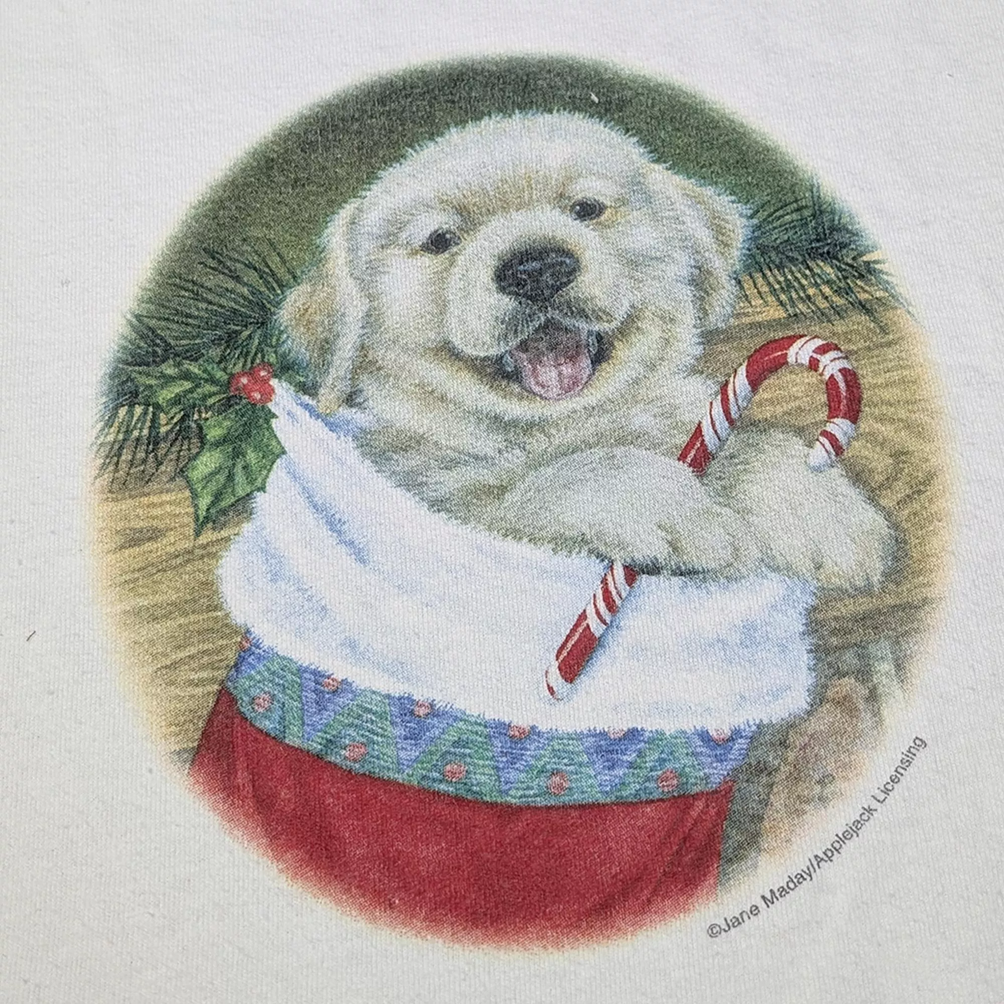 00's IFAW T-shirt 法國版動保T恤