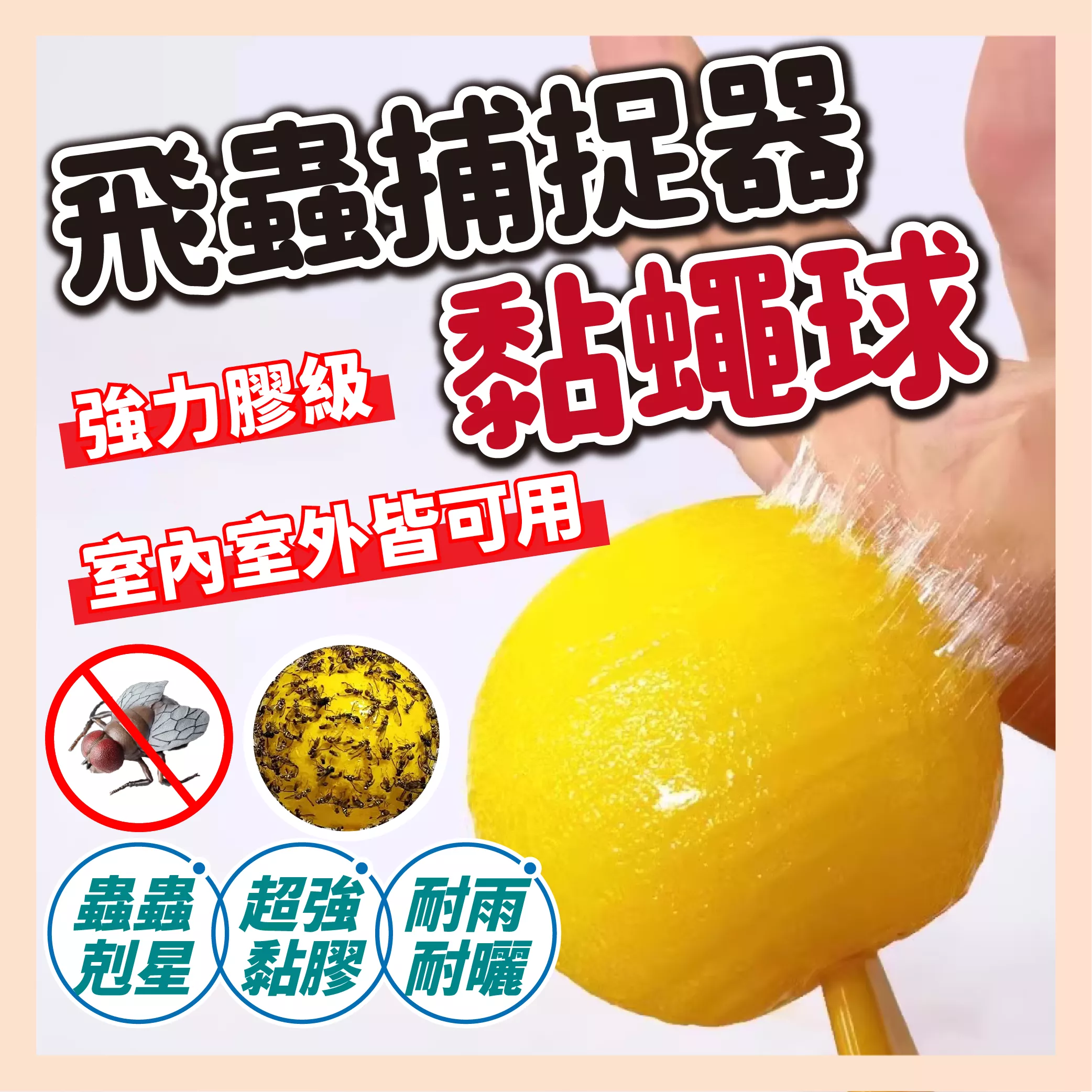 【育護】果蠅誘捕器 黏蟲球 超黏 果蠅誘捕球 捕蠅板 黏蚊球 黏蠅板 害蟲黏蟲球 黏果蠅 蒼蠅球 捕蟲 捕蠅器 台灣
