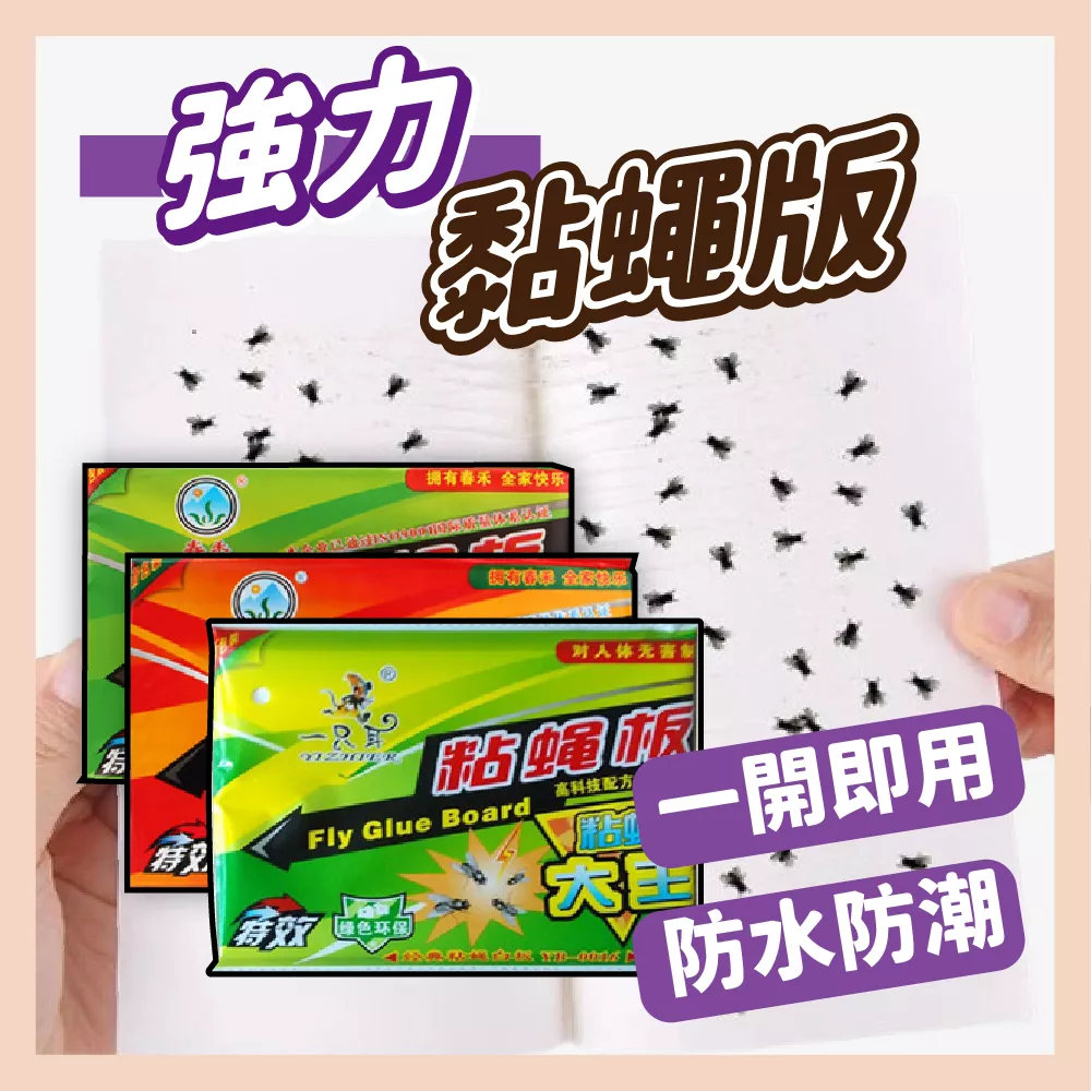 【育護】台灣現貨 捕蠅紙 黏蠅紙  黏蠅板 蒼蠅板 蒼蠅貼 捕蠅板  補蠅紙 單張