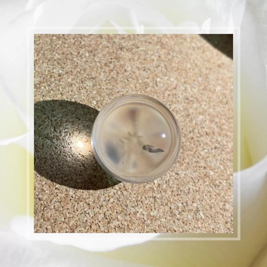 20mm天然白水晶球  實物拍攝M6