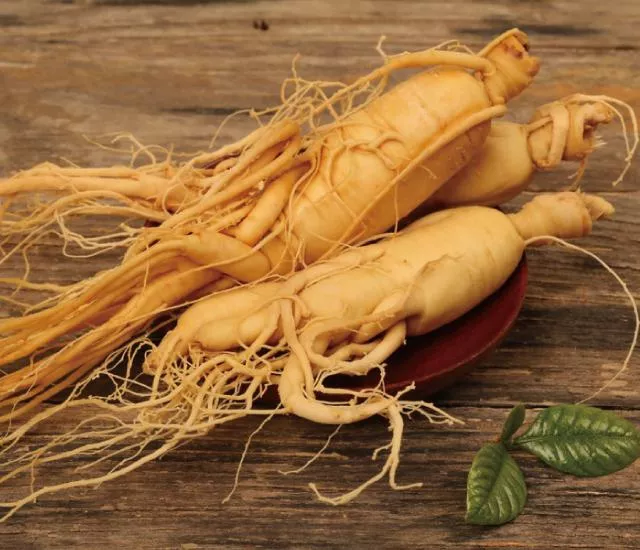 進口高麗人篸中200g